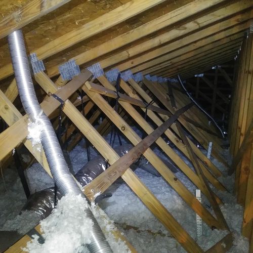 We do attic inspections here in Florida