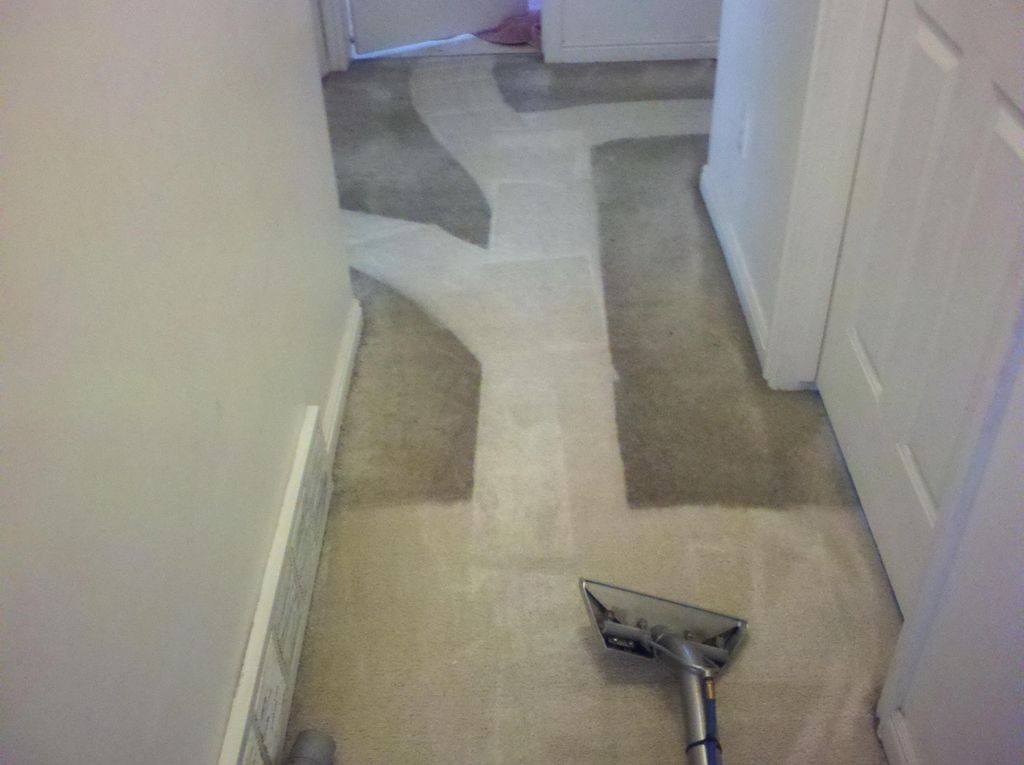 I cleaned down the center to every door way