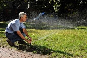 Avatar for Clear Cut Lawn and Sprinkler