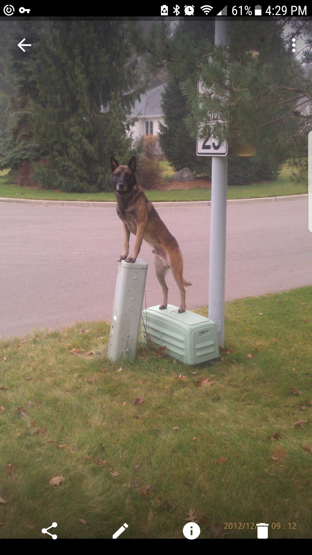 Beni showing off