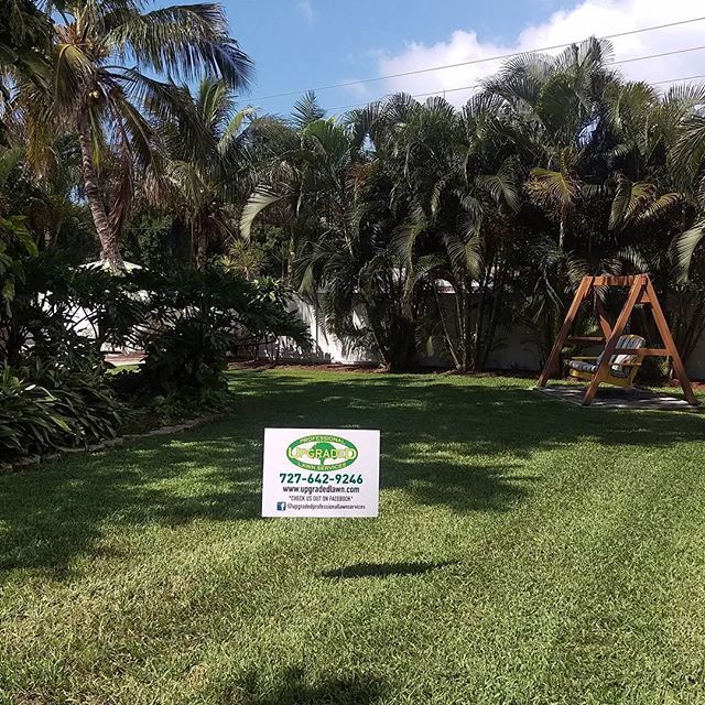 Another beautiful lawn, serviced by Upgraded Profe