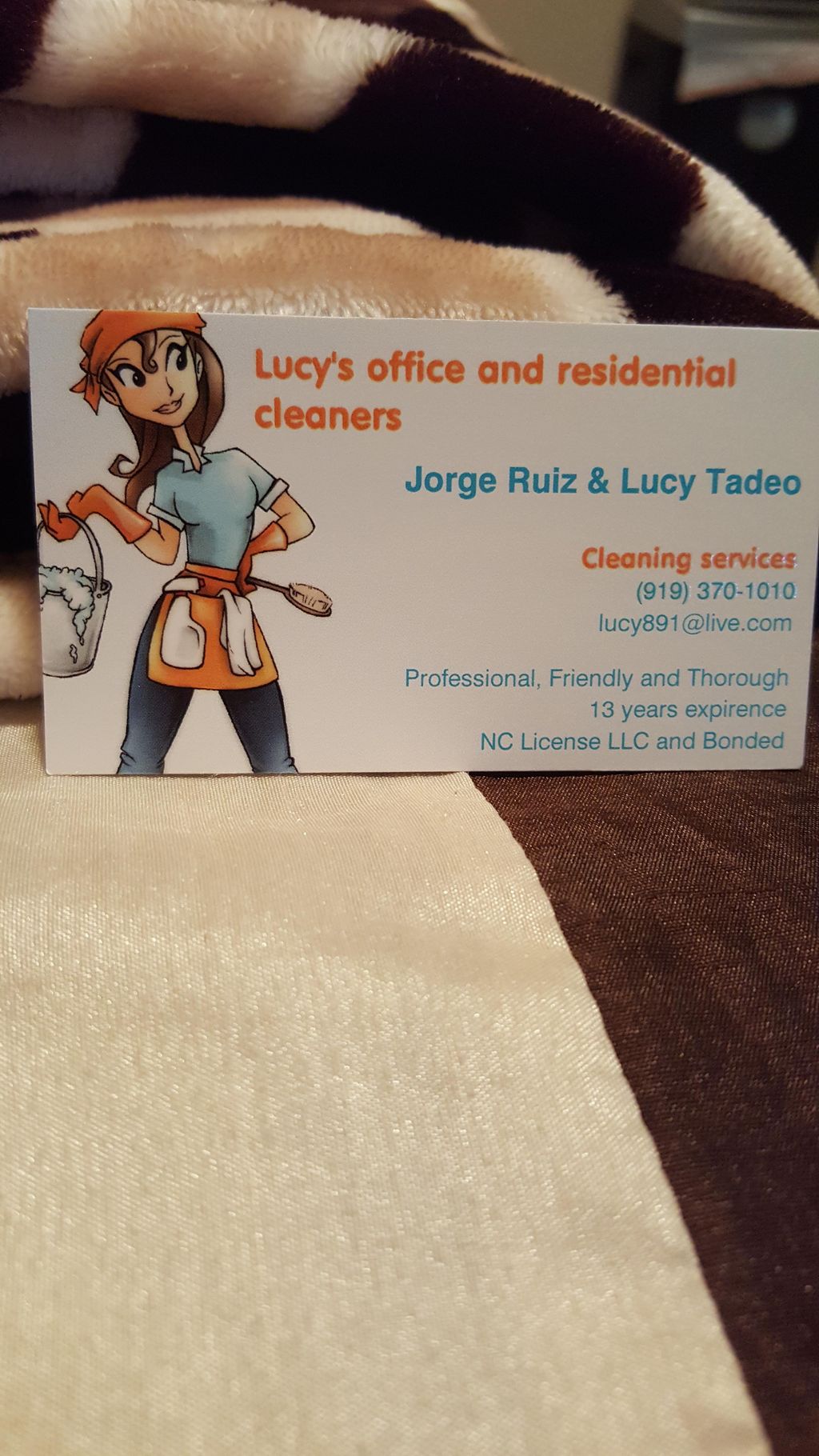 Lucy's Office and Residential Cleaners