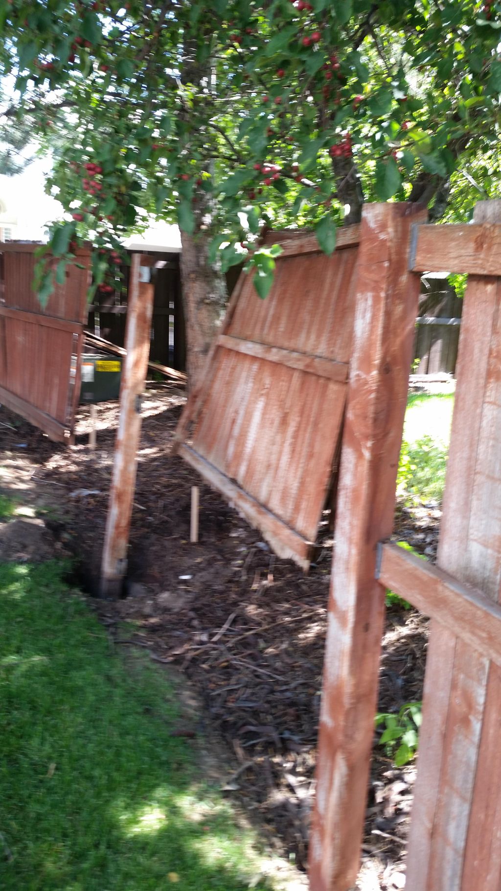 FENCE before repairs...