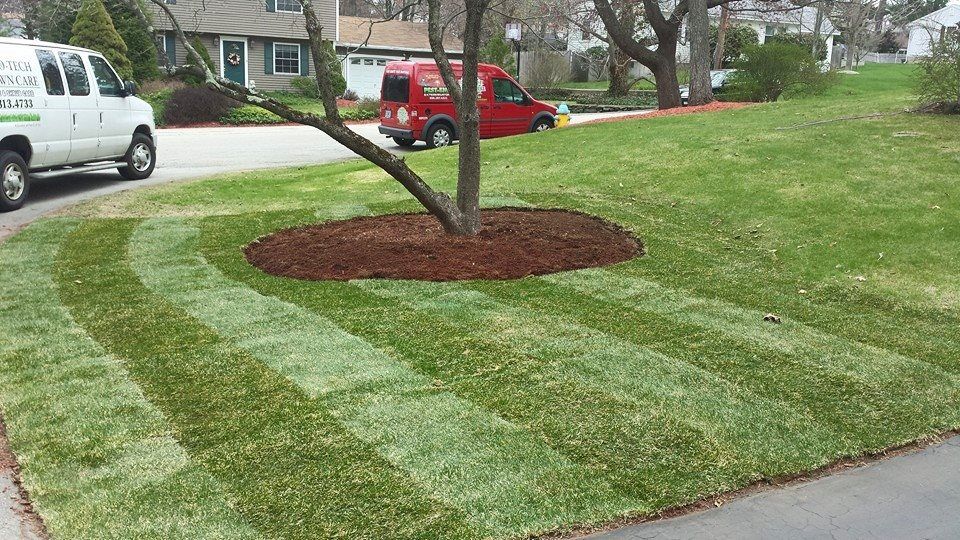 Sod Installation
