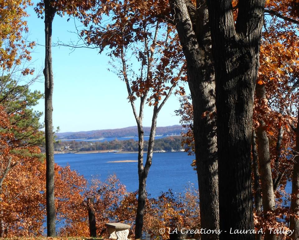 Our customer was ecstatic with their new lake view
