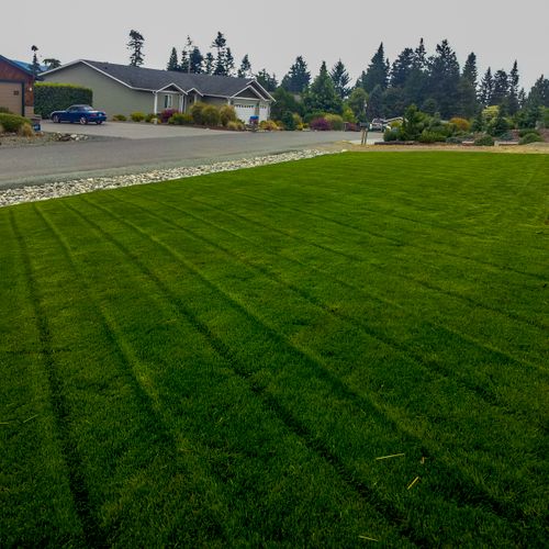 Irrigated lawn