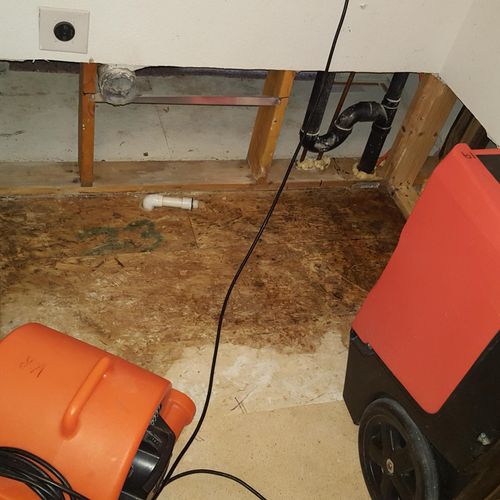 Mold and Water Mitigation in Laundry Room