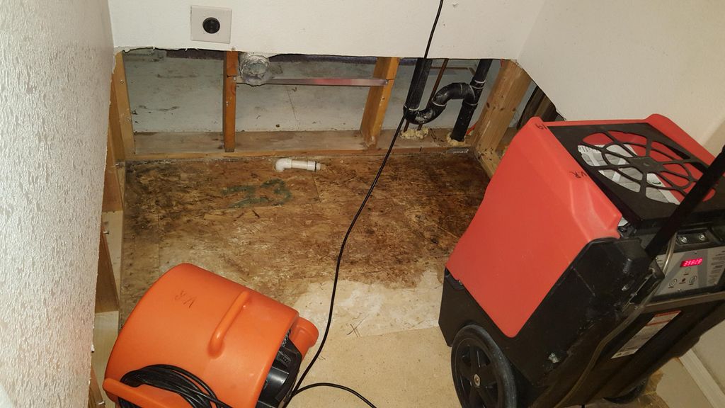 Mold and Water Mitigation in Laundry Room