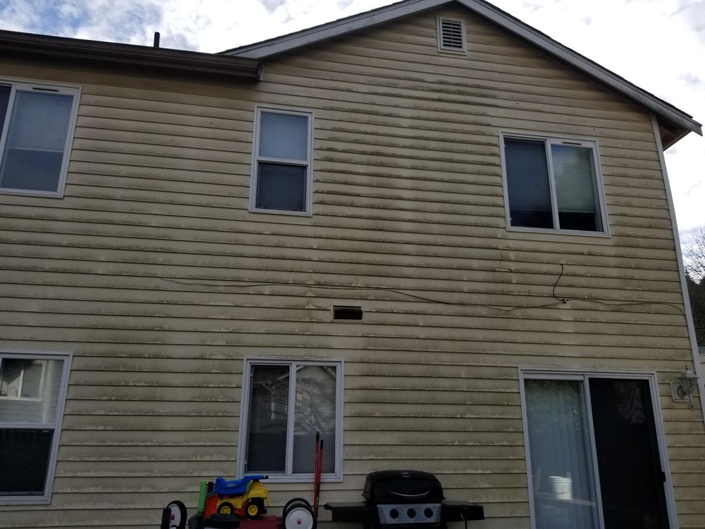 siding cleaning (before)