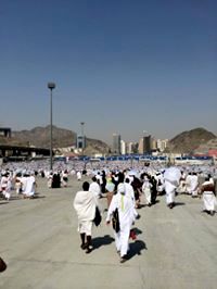 Nutrition Prescriptions