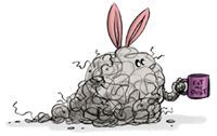 Dust Bunny Cleaners