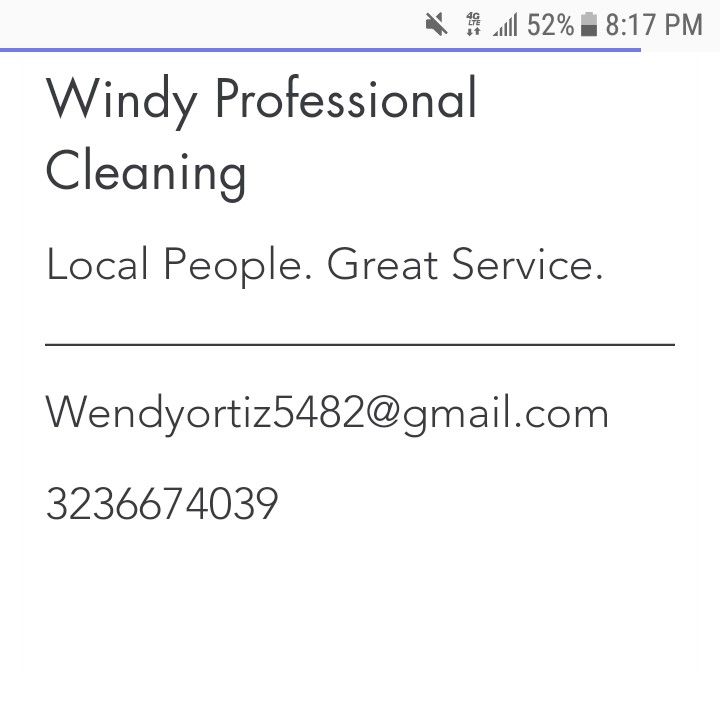 Windy Professional Cleaning
