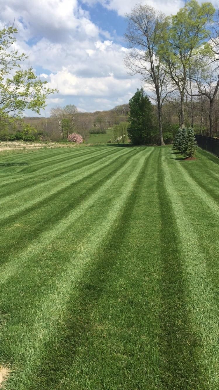 Classic Cuts Lawn & Landscape, LLC
