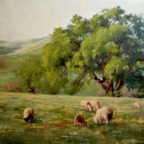 'Nature's Lawnmowers"
20x20, Oil on Canvas