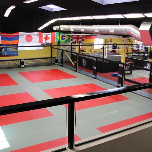 Large mat area used for MMA conditioning, self def