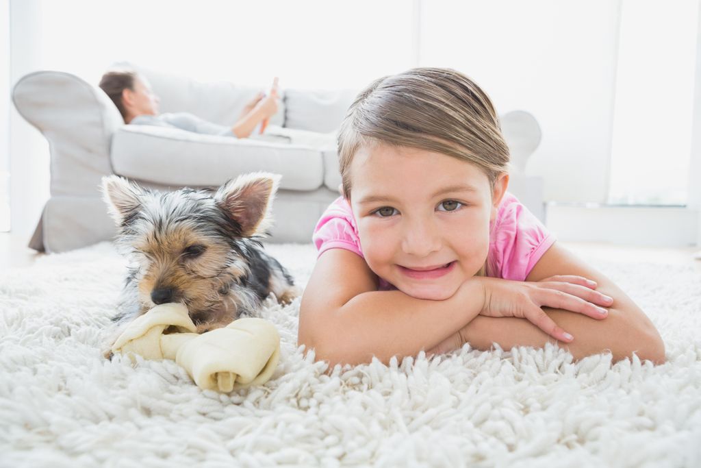 ODOR REMOVAL - SPECIAL ENZYME TREATMENT