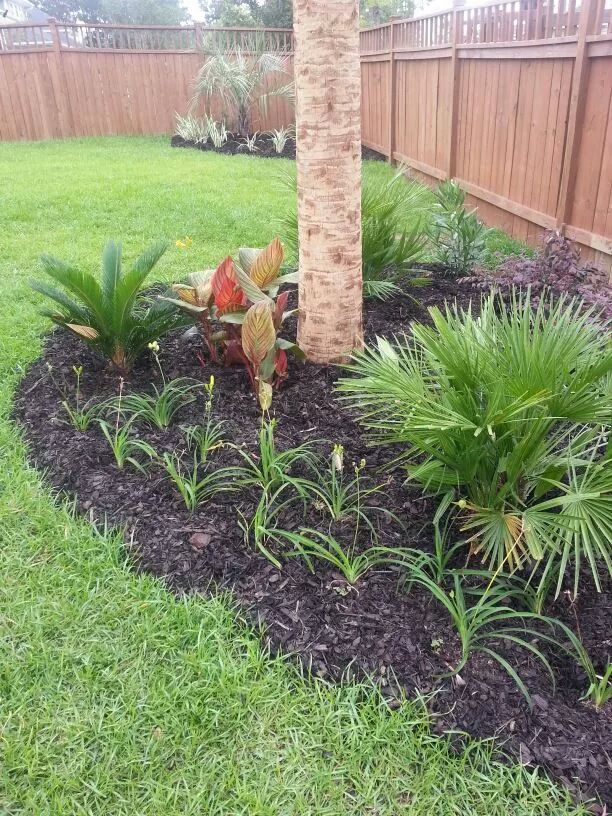 Moncks Corner "Tropical Theme"