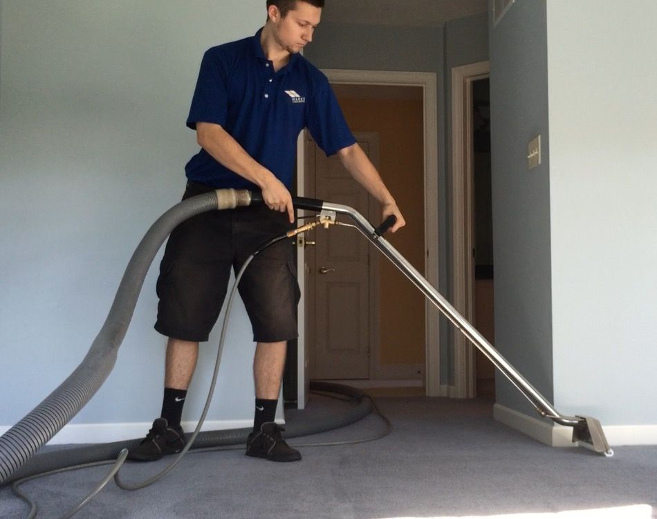 Wadsworth Carpet Care