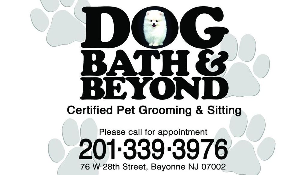 Dog Bath & Beyond