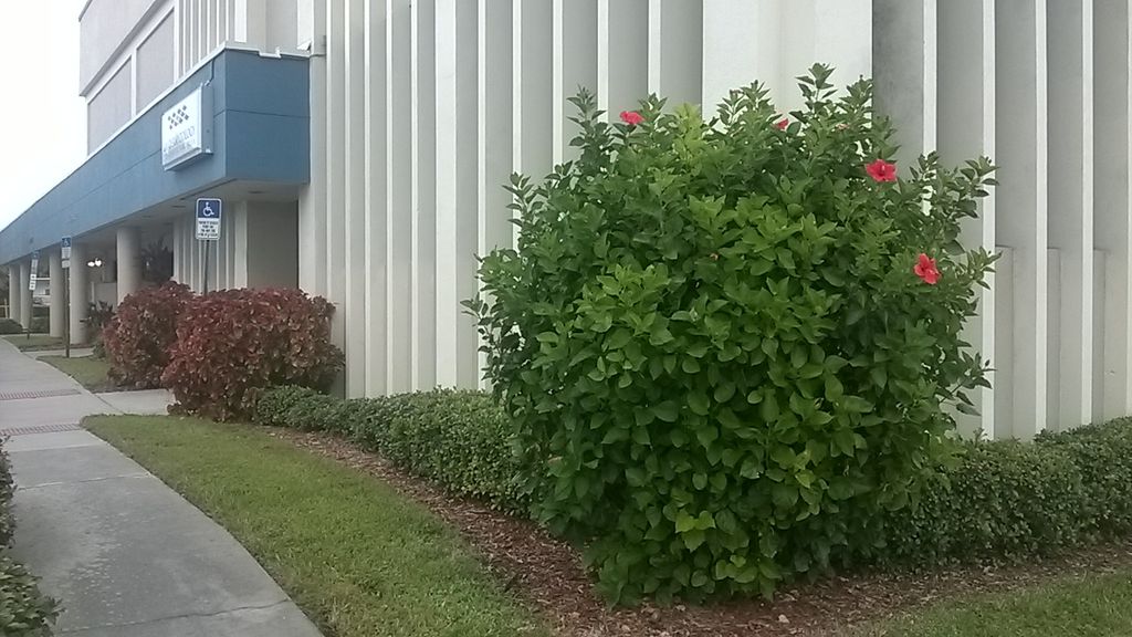 Services include edging...