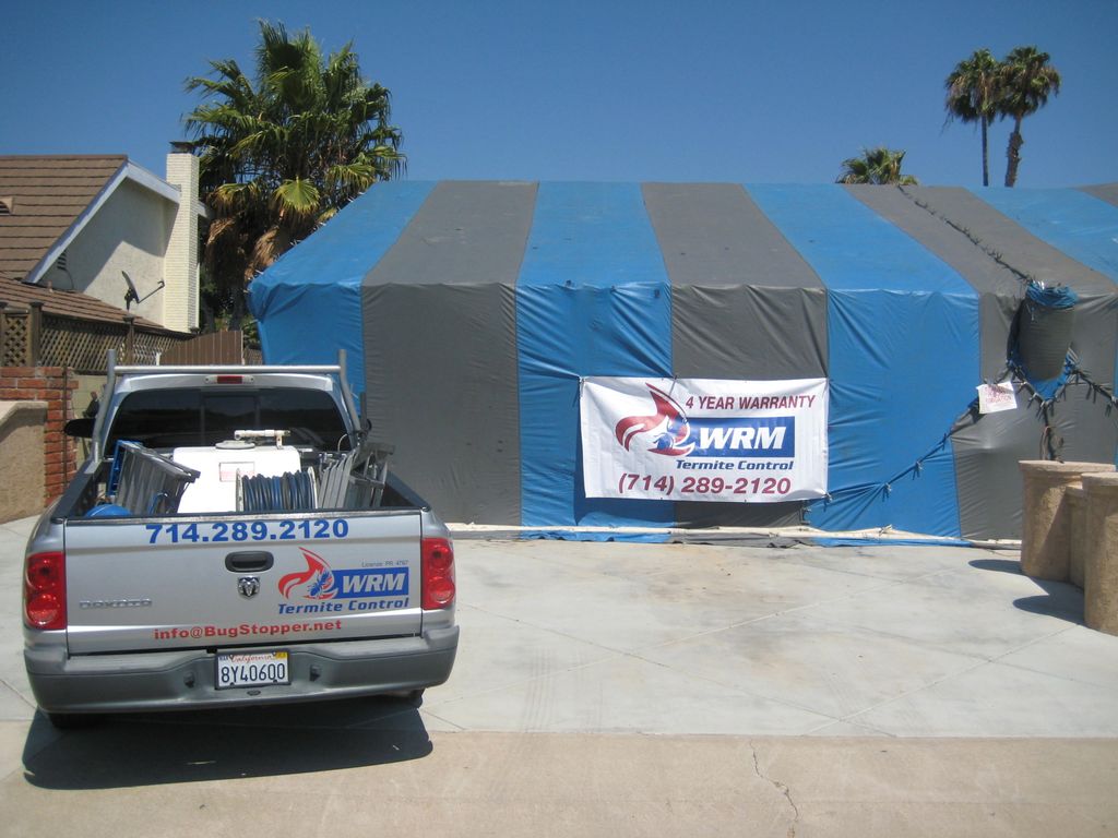 Drywood Termite Fumigation with a 4 Year Warranty!