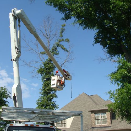 Tree removal with crane