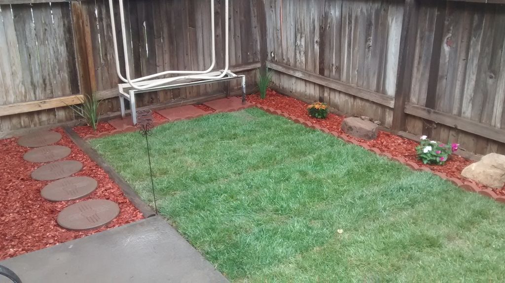 small yard design
