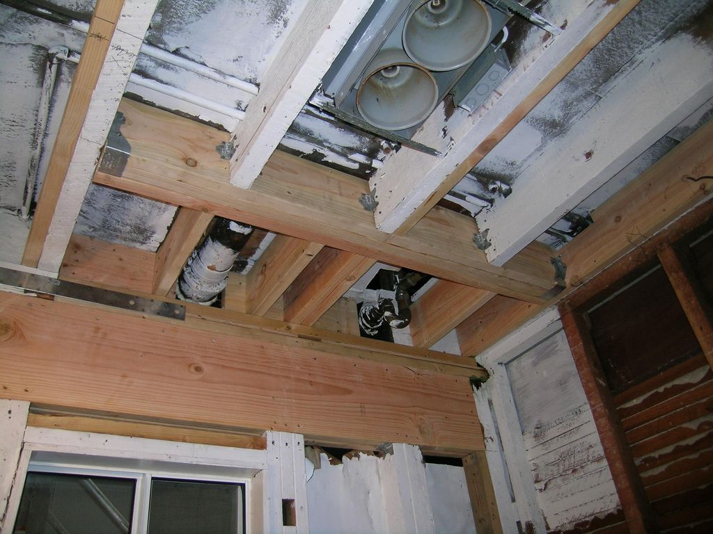 Residential Bath Room Reframed After Remediation