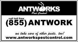 Antworks Pest Control Portland, Vancouver, Tacoma