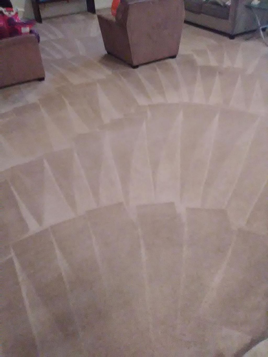 Carpets Came out Great!!