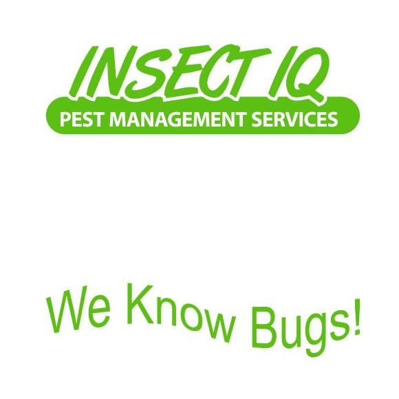 Insect IQ Inc & All Florida Bee Removal