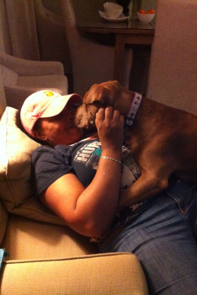 Your pet will get plenty of love and attention