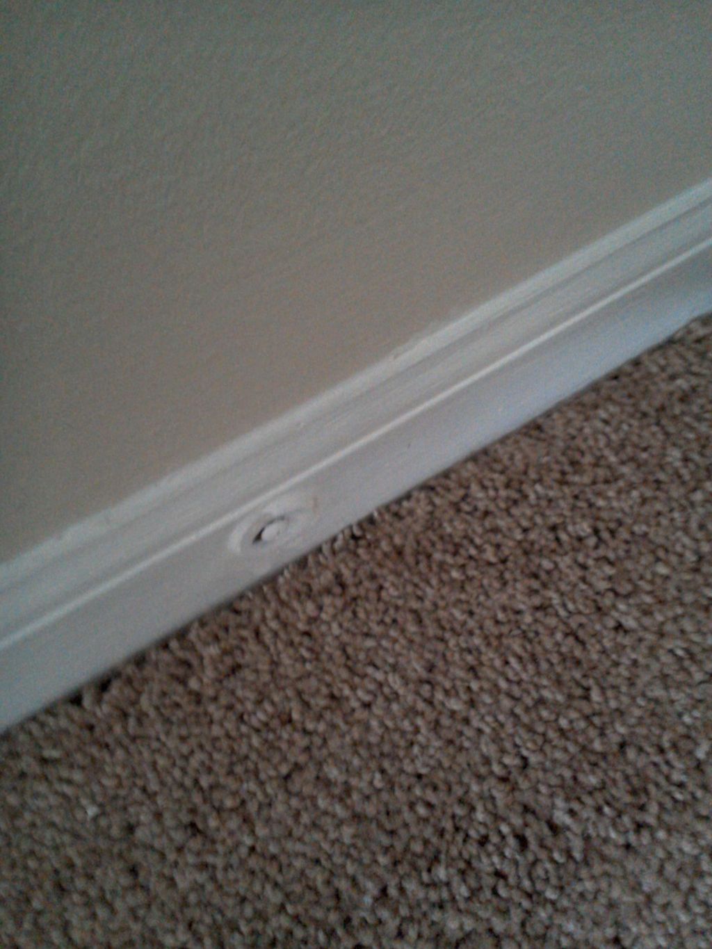 Cleaning baseboards.