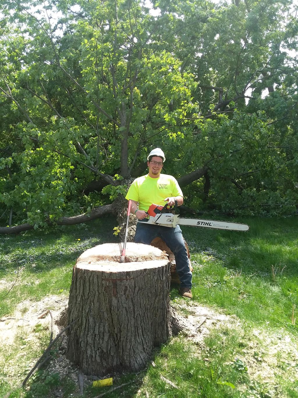 K&C Tree and Landscape