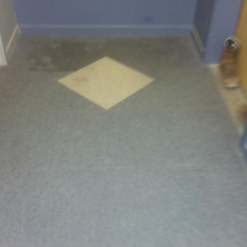 Huge Stains  on carpets Before Cleaning