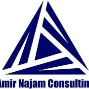 Amir Najam Consulting