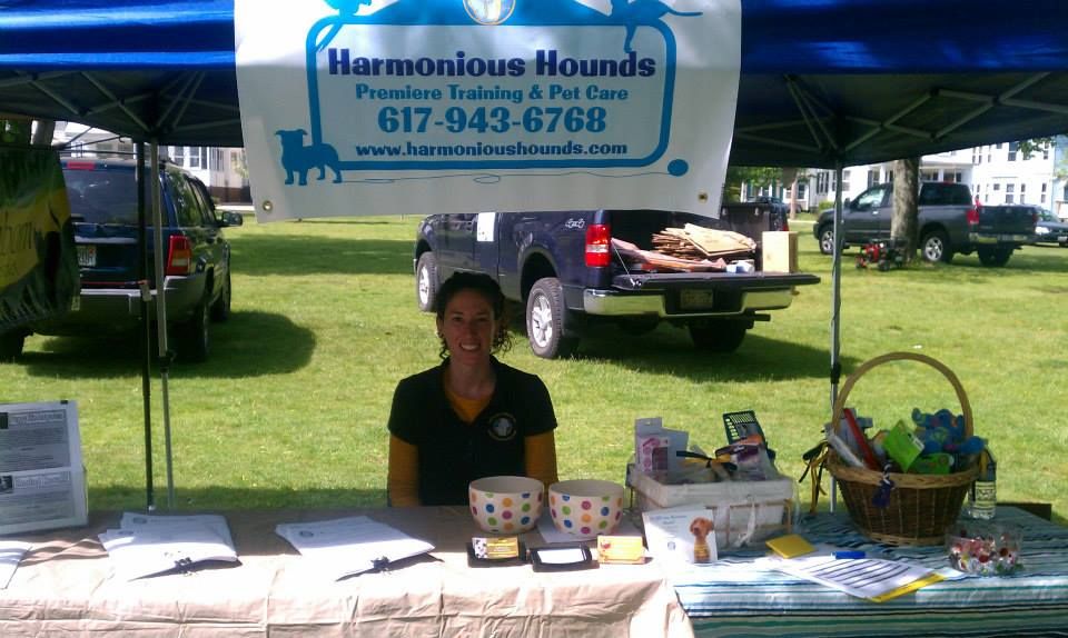Harmonious Hounds provides annual dog training dem
