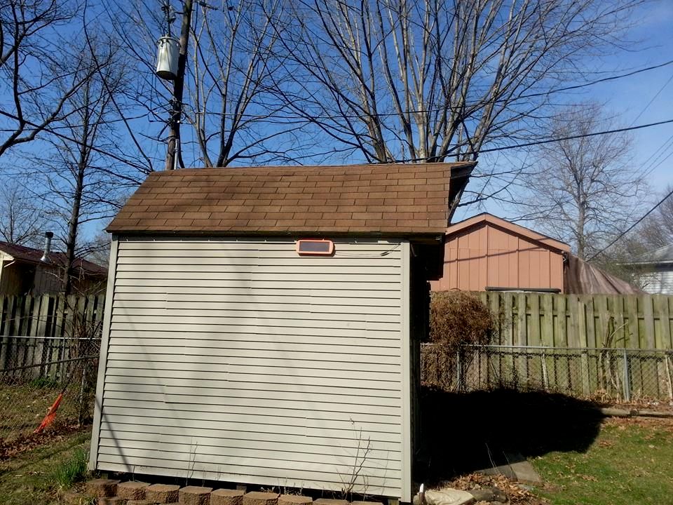 Shed Replacement Before