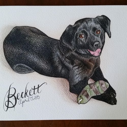 Beckett - pet portrait with adoption date commissi