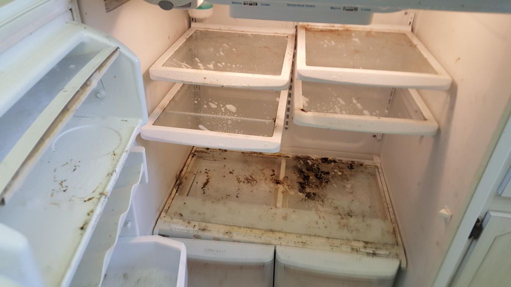 Refridgerator prior to cleaning