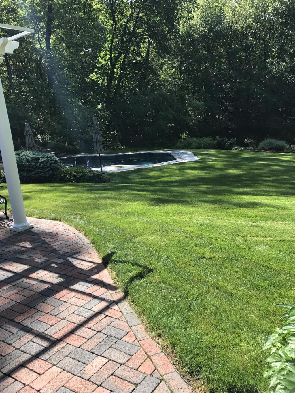 Want to see a better lawn? Call us. We provide, we