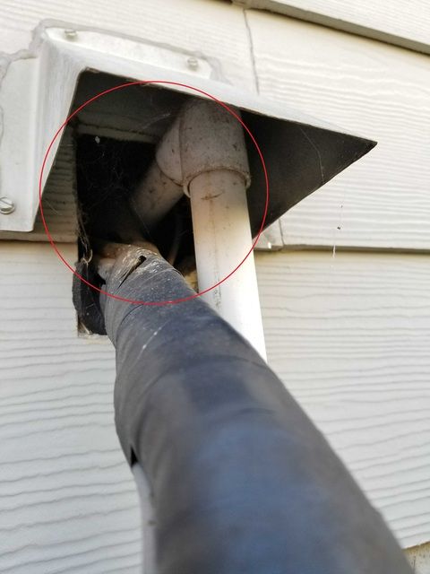 This photo shows the wall of the home where the re