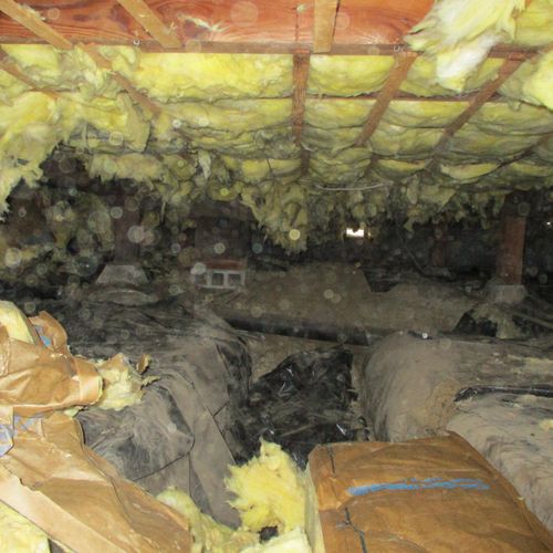 We offer crawlspace cleanouts!  
