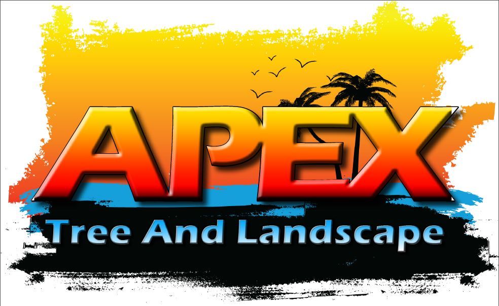 Apex Tree and Landscape