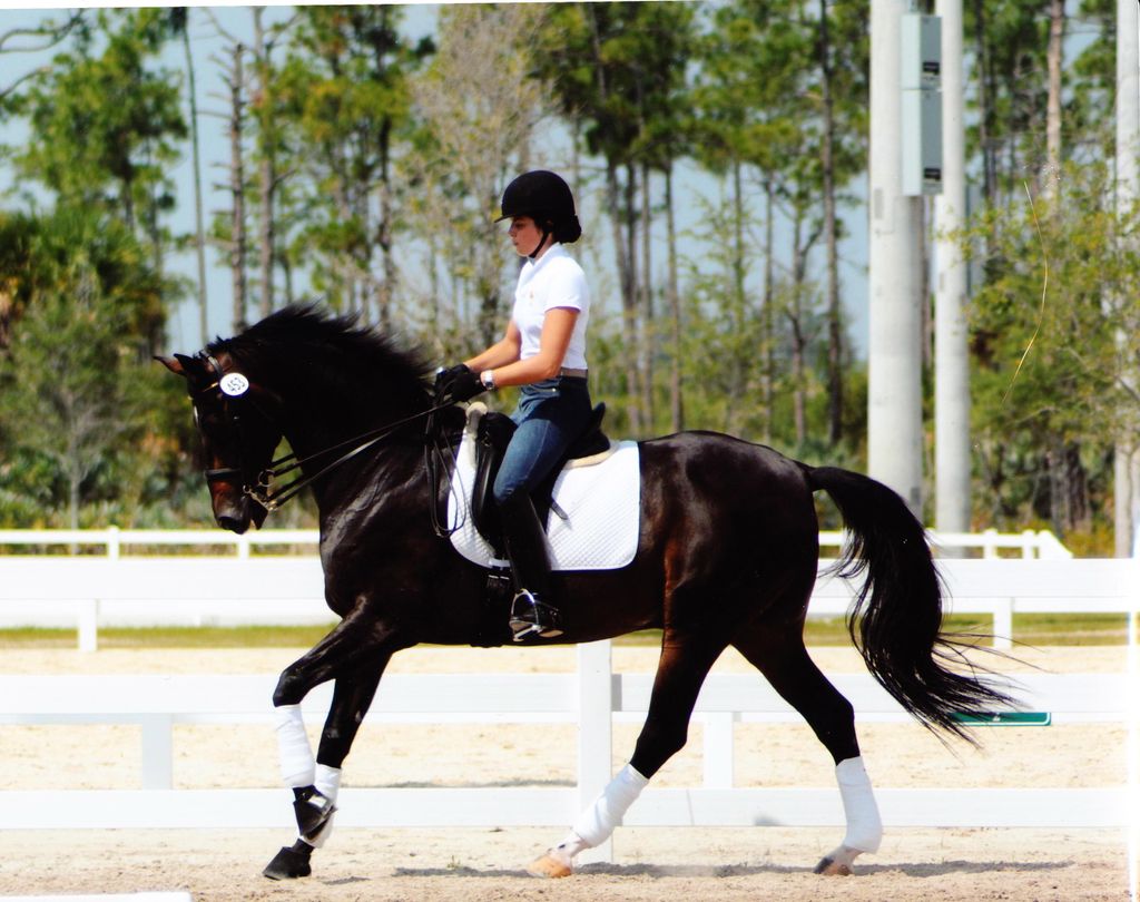 Former Assistant Rider Jessica Baum schooling at s