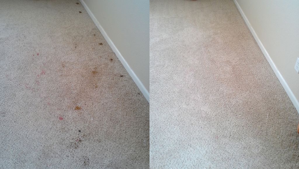 Pet Problems?  Not a problem for Spifco.  We use o