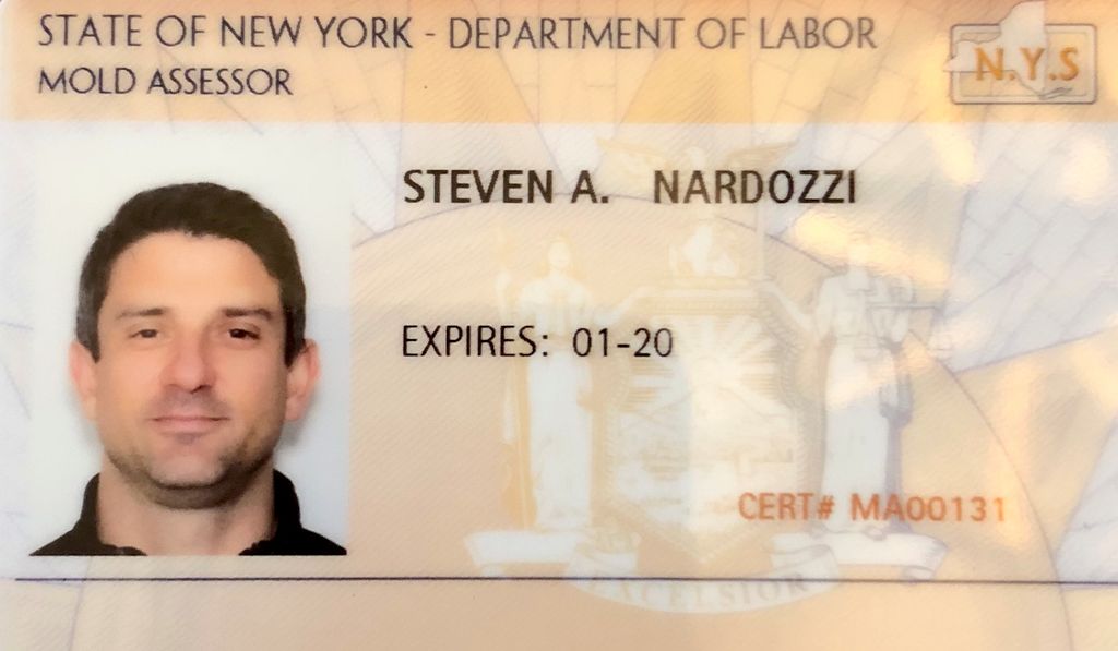 NYS Mold Assessor License