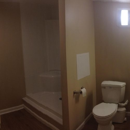 Complete Basement Bathroom Remodel