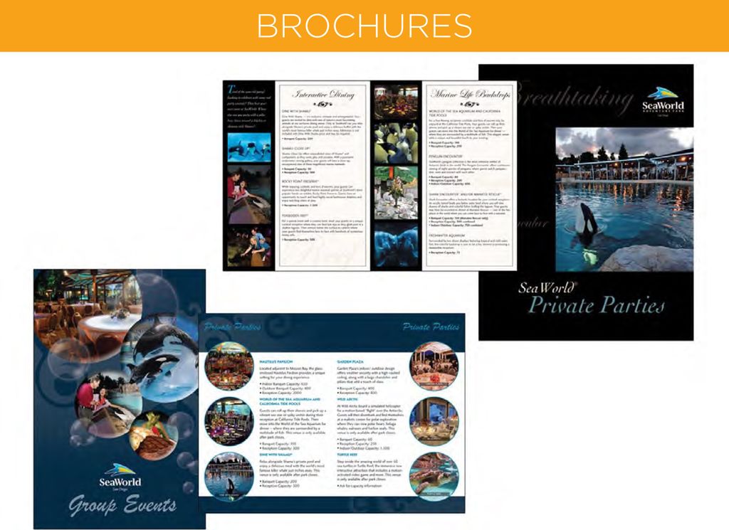 Projects and media