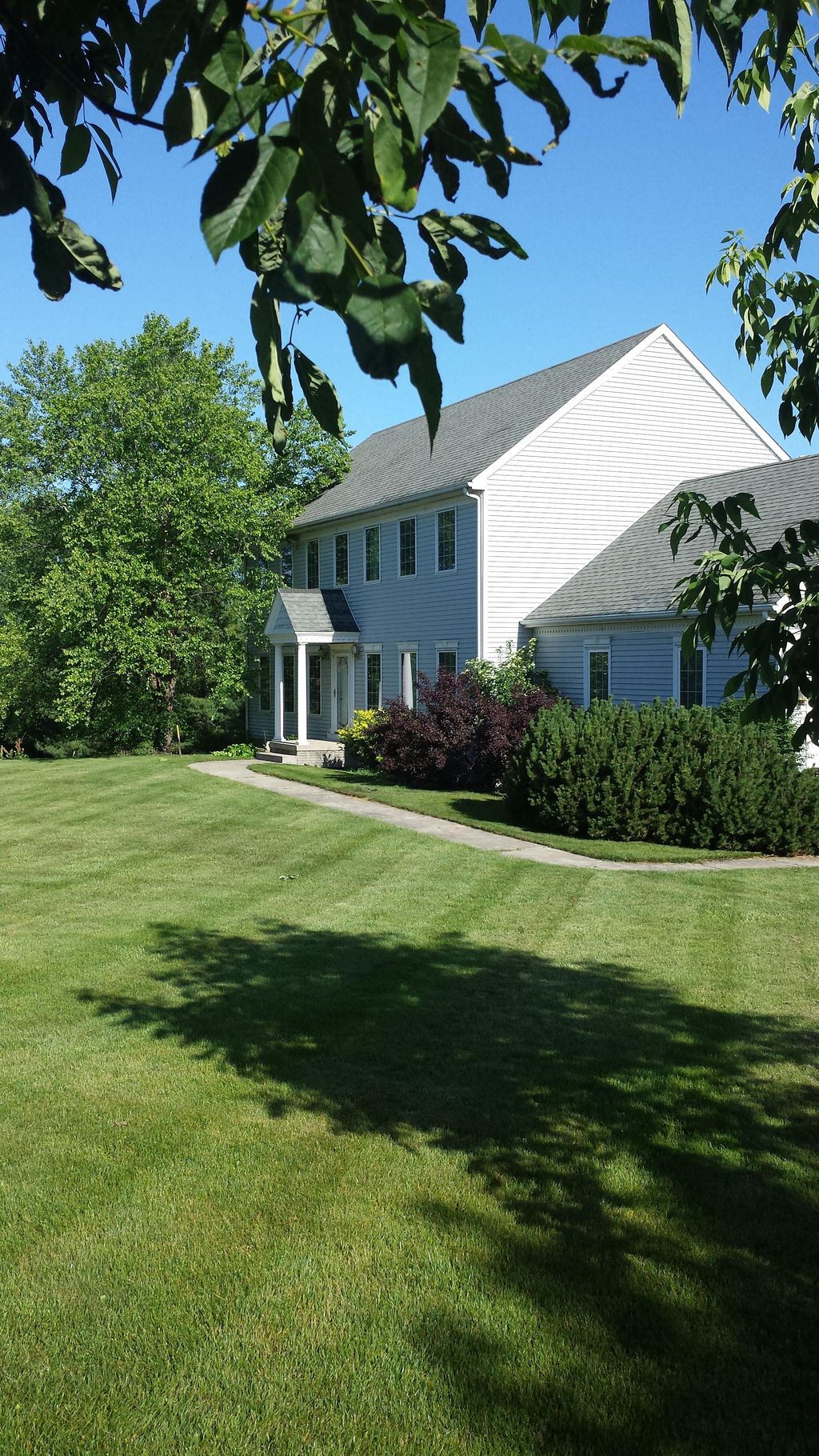 Before trimming and removing shrubs 